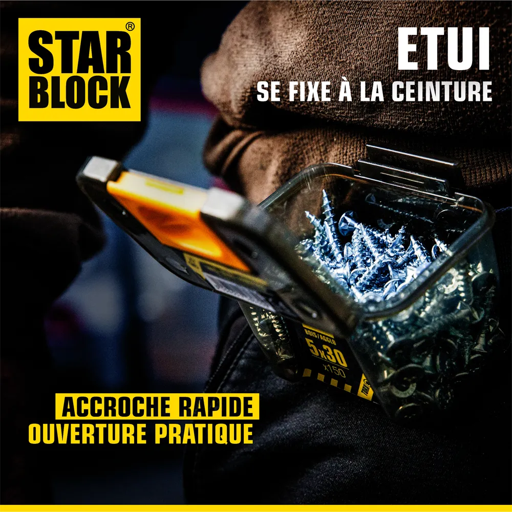 ambiance-vis-boisagglo-tx-4×40-tete-fraisee-tx-acier-zingue-starblock-1