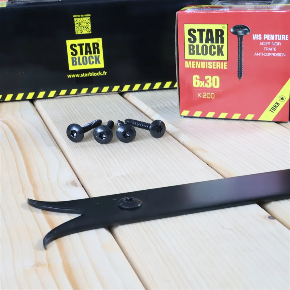 ambiance-vis-penture-7×30-tete-large-bombee-tx-acier-traite-noir-anticorrosion-starblock-1